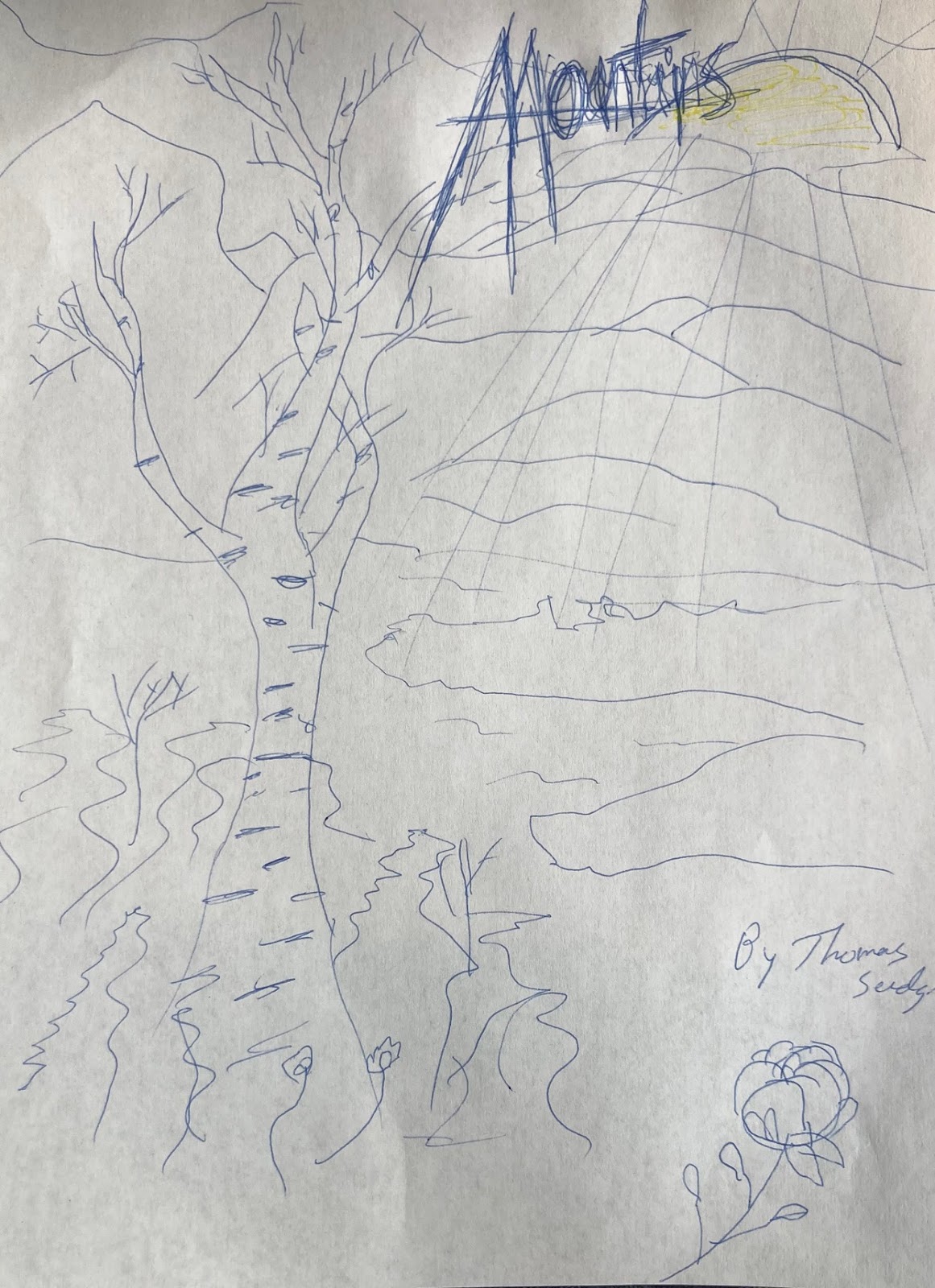Drawing of mountains and sun with a birch tree in the foreground.